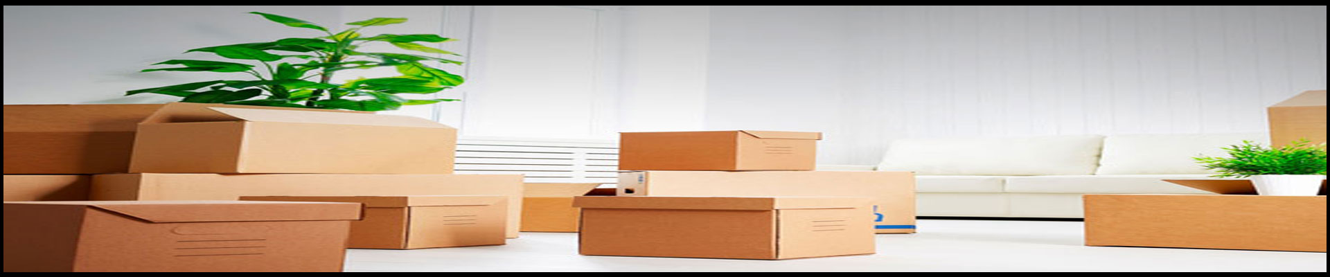 Packers And Movers Noida Sector 85